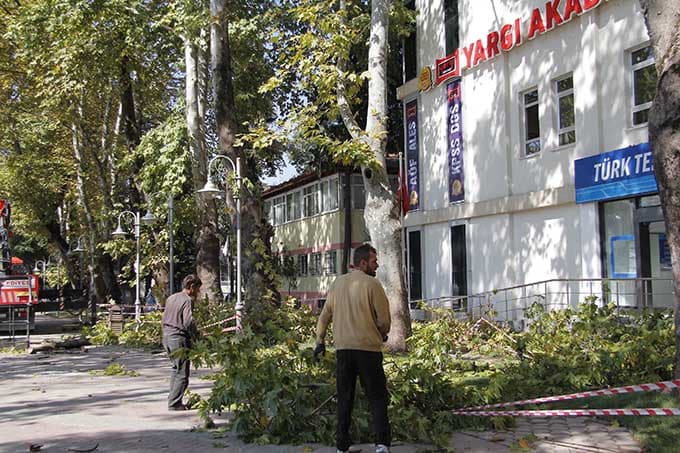 Hendek'te kış hazırlığı