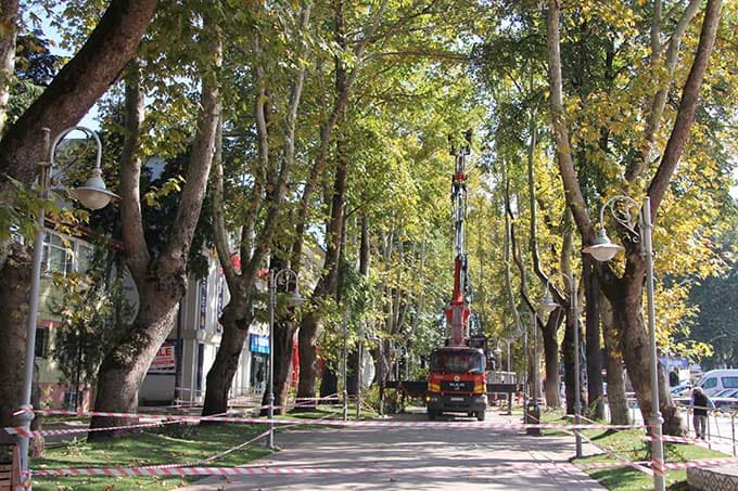 Hendek'te kış hazırlığı