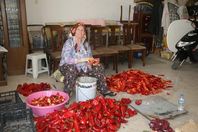 Sakaryalı hanımların salça yapma telaşı