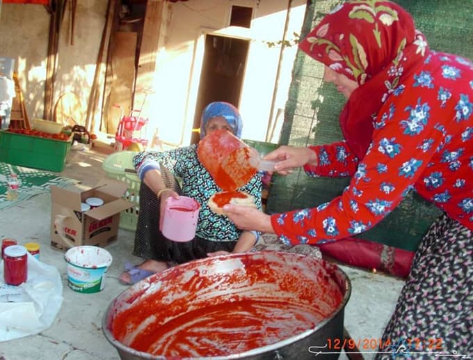 Sakaryalı hanımların salça yapma telaşı