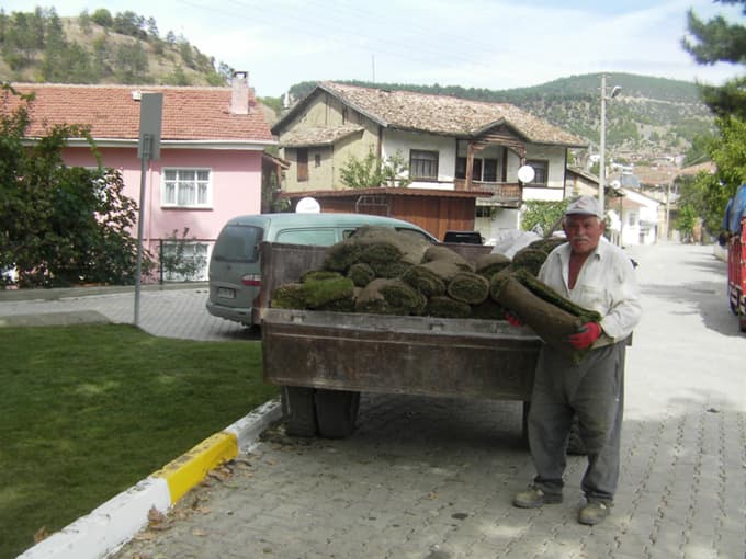 Tarihi çınarın çevresi çimlendirildi