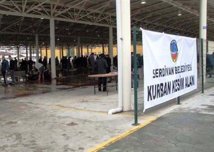 Serdivan Kurban'a hazır