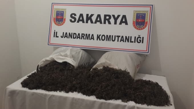 Jandarma ormanlık alanda 22 kilogram kubar esrar ele geçirdi