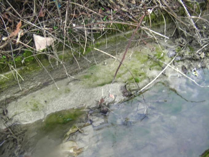 Dere değil mikrop yuvası