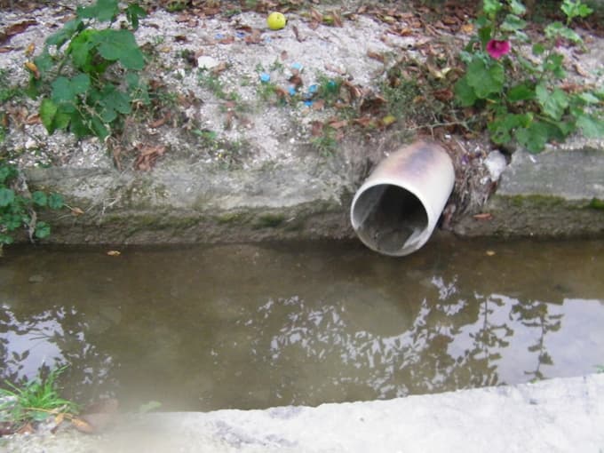 Dere değil mikrop yuvası