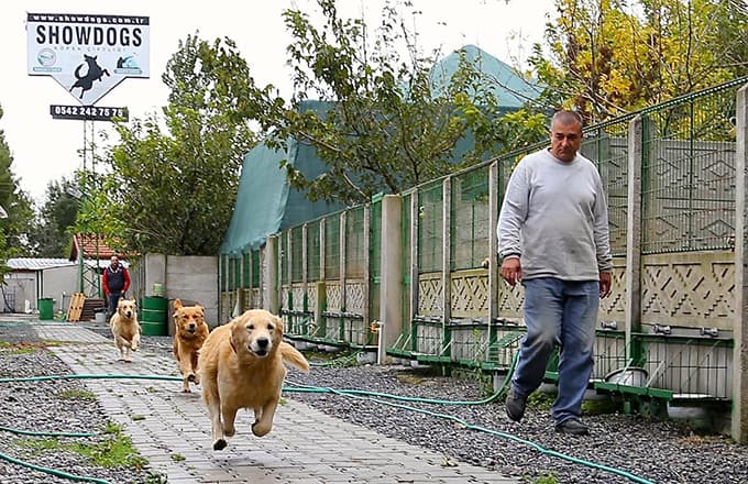 Arama çalışmalarından etkilendi, köpek eğitim merkezi kurdu 