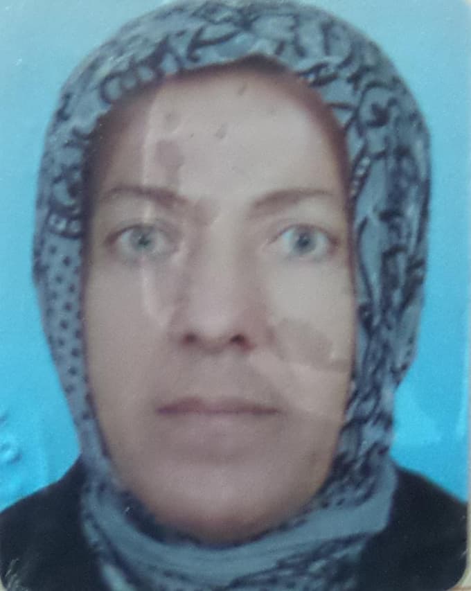 Sakarya'da yolcu minibüsünün çarptığı kadın öldü 