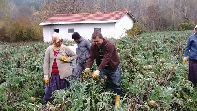 Enginarda son kesim yapıldı
