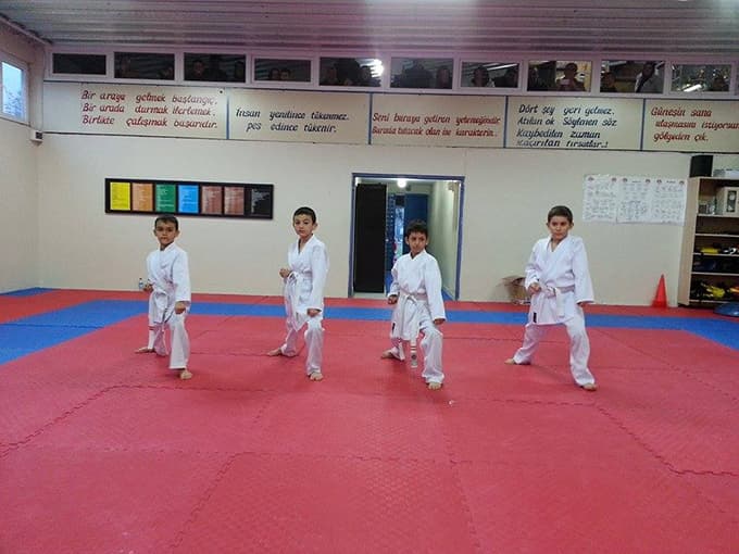 Hendek Belediyesi karate takımı sporcuları terfi etti