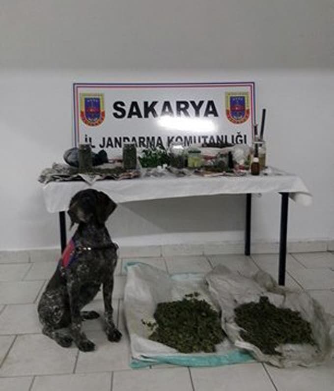 Jandarma'nın uyuşturucuyla mücadelesi devam ediyor 