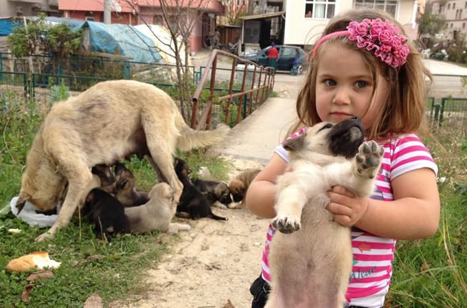 Köpek yavrularına mahalle halkı sahip çıktı 