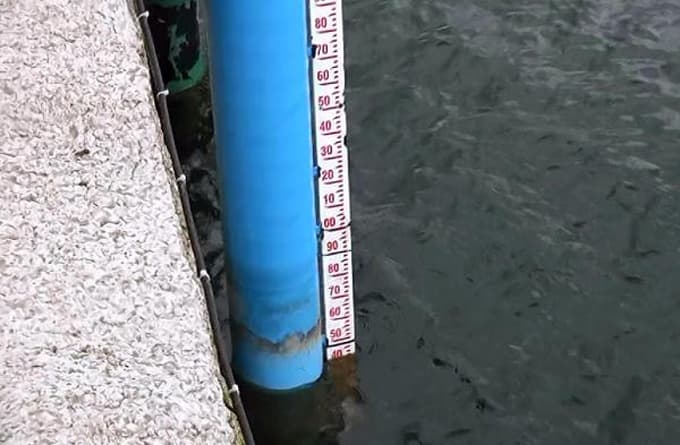 Sapanca Gölü su seviyesinde son durum