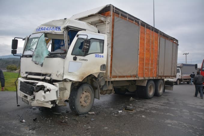 Canlı tavuk yüklü TIR'lar çarpıştı: 1 yaralı