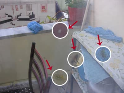 Arılar Sakarya'yı Sardı