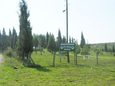 <p align="center"><strong><font face="arial,helvetica,sans-serif" size="2">Mezarlık Ziyaretleri</font></strong></p>