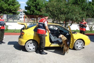 Narkotik Köpeği 'Kumsal'ın Büyük Başarısı