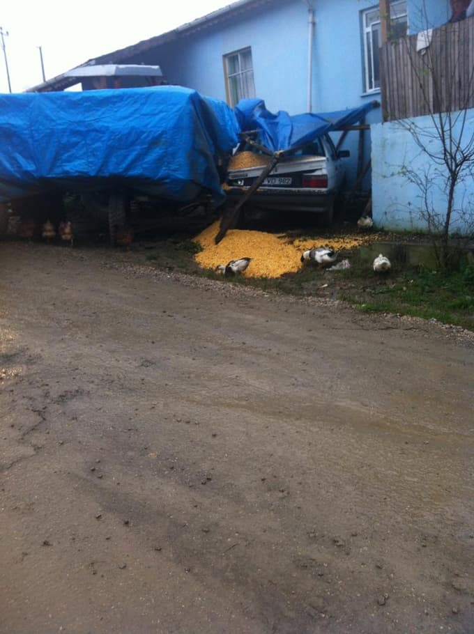 Sakarya'da trafik kazası: 1 yaralı 