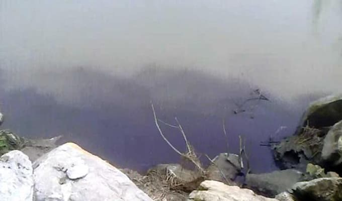 Sakarya Nehri'ne atık döküldüğü iddiası