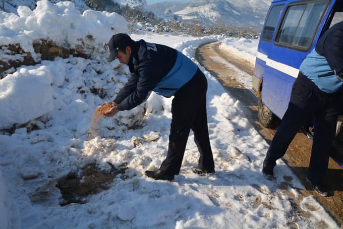 Kuşlar için açık alanlara yem bırakıldı
