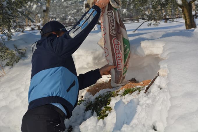 Kuşlar için açık alanlara yem bırakıldı