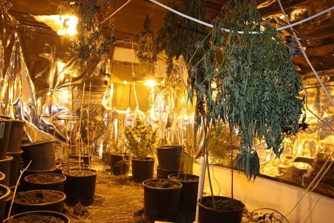Sakarya'da uyuşturucu laboratuvarı tespit edildi