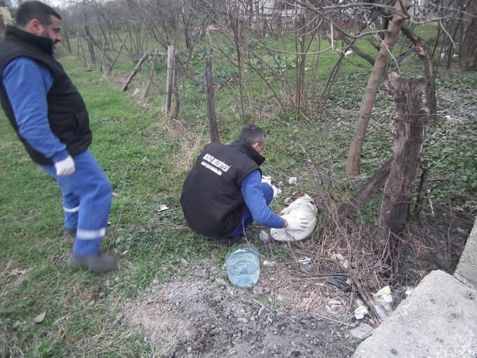 Akyazı'da yaralı köpek tedavi edildi 