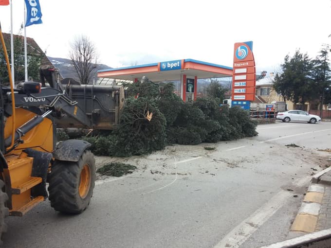 Fırtına evlerin çatılarını uçurdu, ağaçları devirdi
