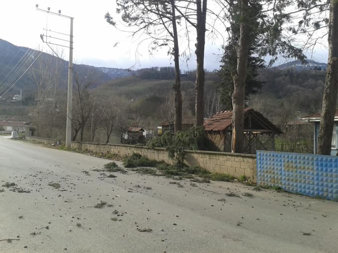 Fırtına evlerin çatılarını uçurdu, ağaçları devirdi
