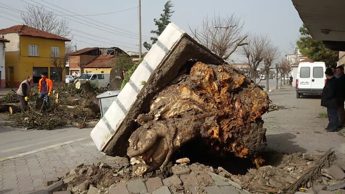 Şiddetli lodos minareyi yıktı