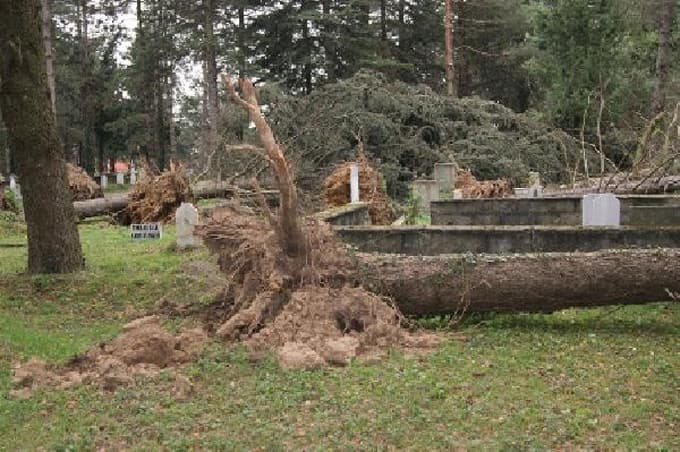 Lodos Sakarya'da mezarları alt üst etti
