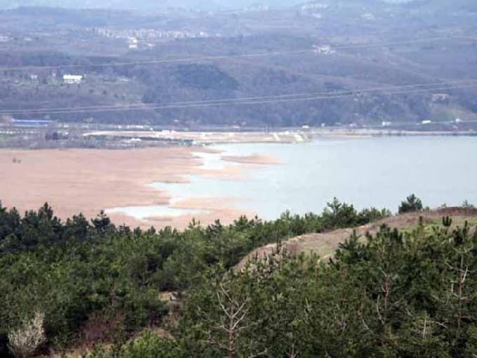 'Sapanca Gölü'ndeki doğal hayat, yok olma tehlikesinde'