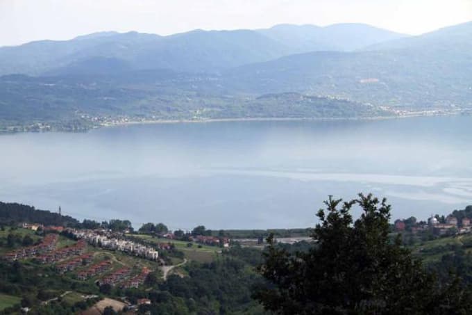 'Sapanca Gölü'ndeki doğal hayat, yok olma tehlikesinde'