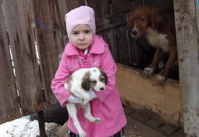 Donmak üzereyken bulduğu köpek 11 yavru doğurdu