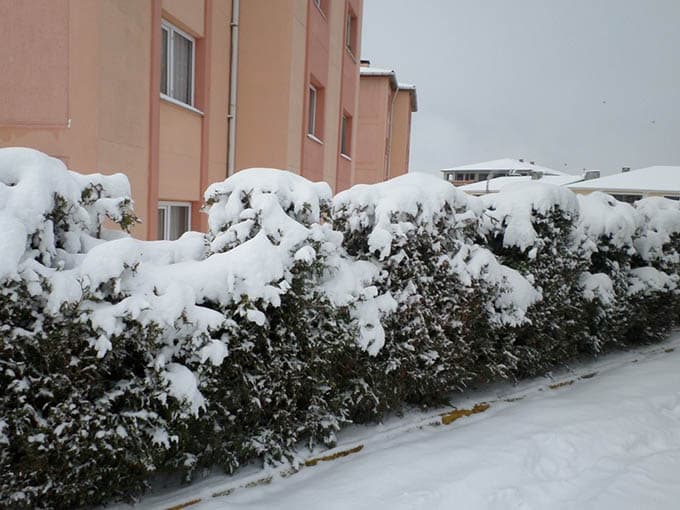 Kar kalınlığı 20 santimetreye ulaştı