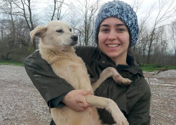 Ormana terk edilen köpekleri hayvanseverler besliyor