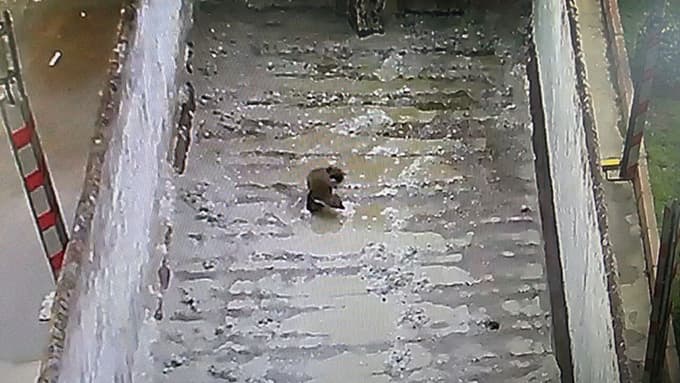 Sansar Tır'ın Dorsesine Girdi