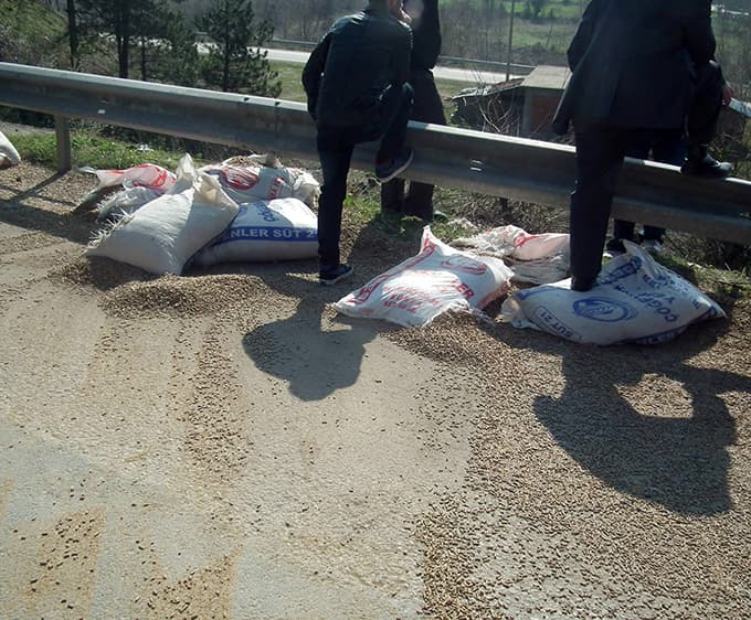 Gübre yüklü TIR şarampole yuvarlandı!