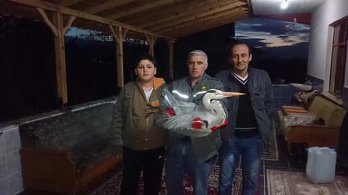 Tedavisi tamamlanan gri balıkçıl doğal yaşam alanına salındı