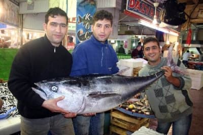57 Kiloluk Orkinos İlgi Odağı Oldu