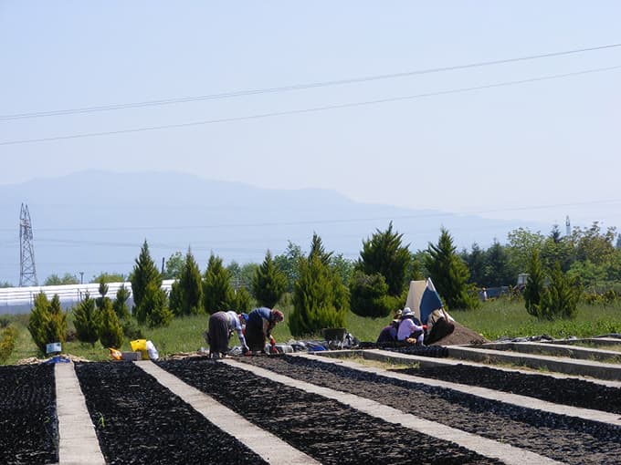 İşkur 1500 işçi arıyor