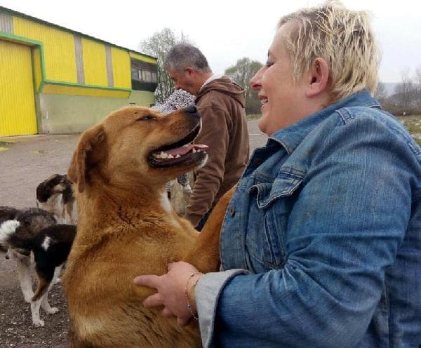 Ormana terkedilen köpekleri onlar sahiplendi