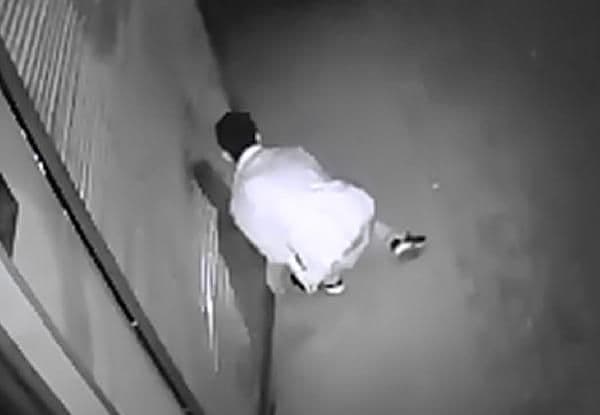Acemi hırsızlar güvenlik kamerasında