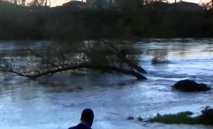 İntihar etmek için Sakarya Nehri'ne atladı...