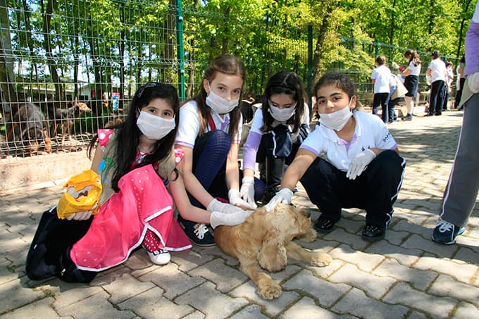 Öğrenciler hayvan barınağını gezdi
