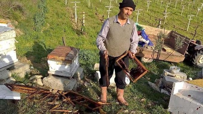 Kış uykusundan uyanan ayılar bal kovanlarına saldırdı