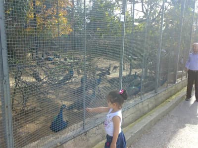 Minikler Hayvanat Bahçesinde Renkli Dakikalar Geçirdi 
