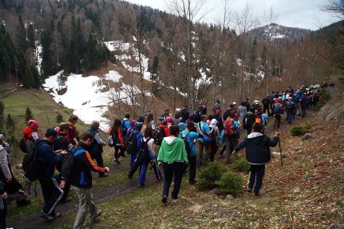 Doğaseverler Çiğdem Yaylası'nda buluştu