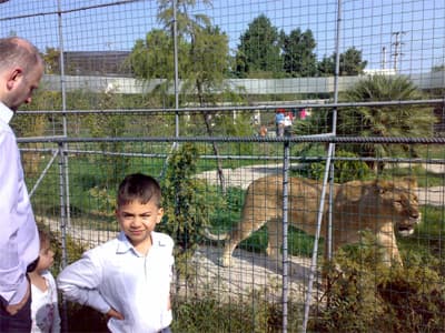 Minikler Hayvanat Bahçesinde Renkli Dakikalar Geçirdi 
