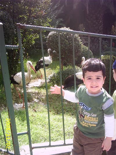 Minikler Hayvanat Bahçesinde Renkli Dakikalar Geçirdi 