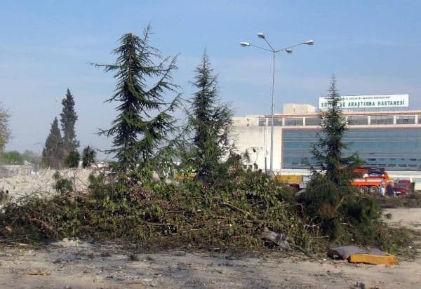 Yeni hastane binası için 100 ağaç kesildi 